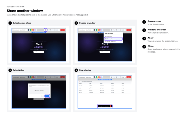 Broadcast Callouts screensharing-selection