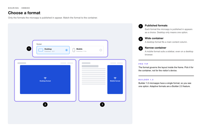 Embed on Webpage Callouts-2-choose-a-format