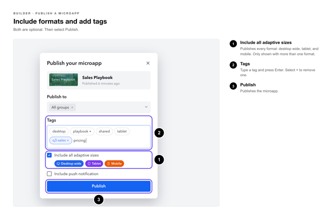 Publish Microapp Callouts-5-formats-tags